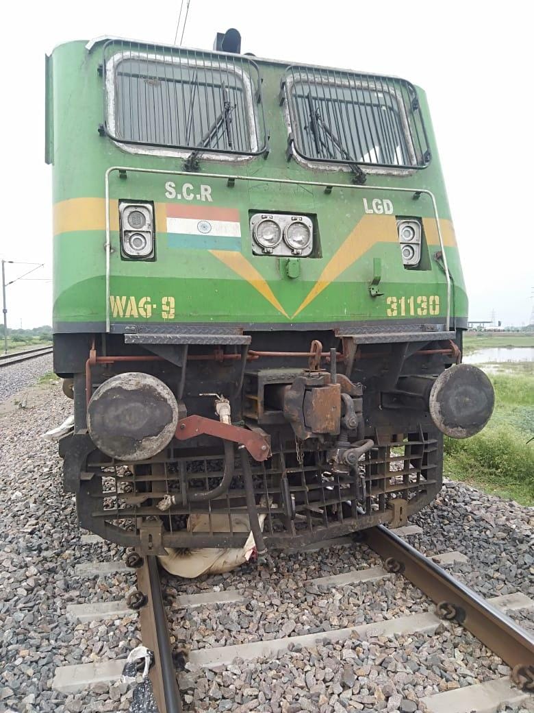 Cattle trapped in freight train, train standing for half an hour