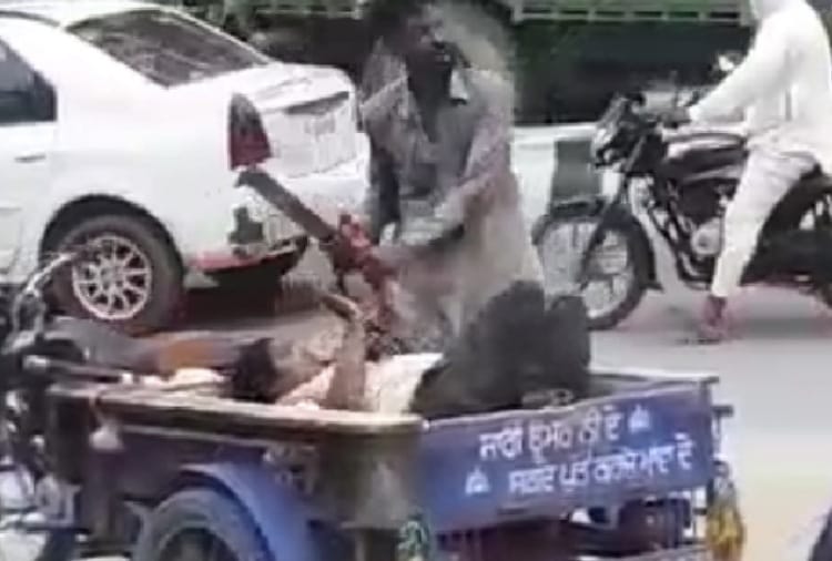Punjab News in Hindi: Husband attacked on wife with weapons in sangrur