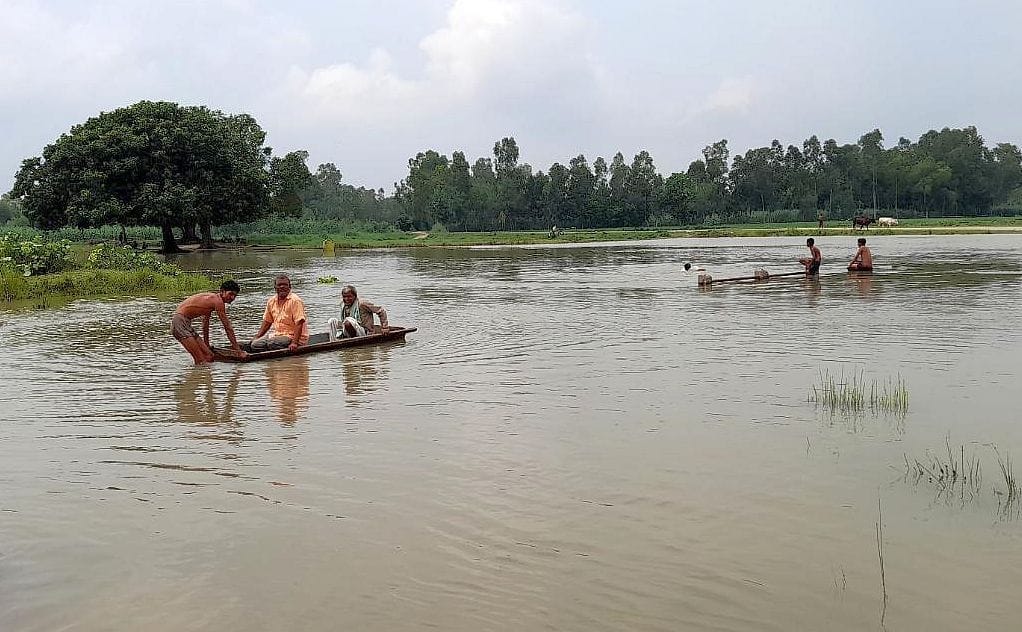 sai nadi
