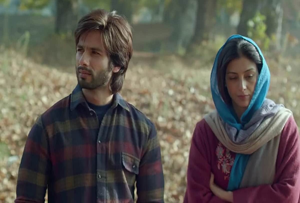 salaam noni appa bollywood movies based on famous novels and books haider the white tiger 
