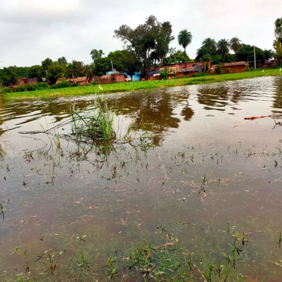 ganga,flood