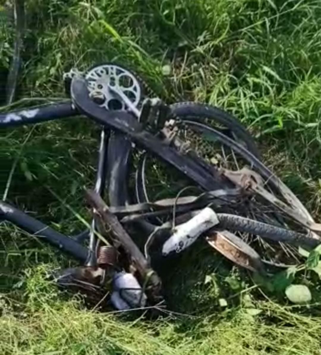 Tempo Rams  over Bycycle