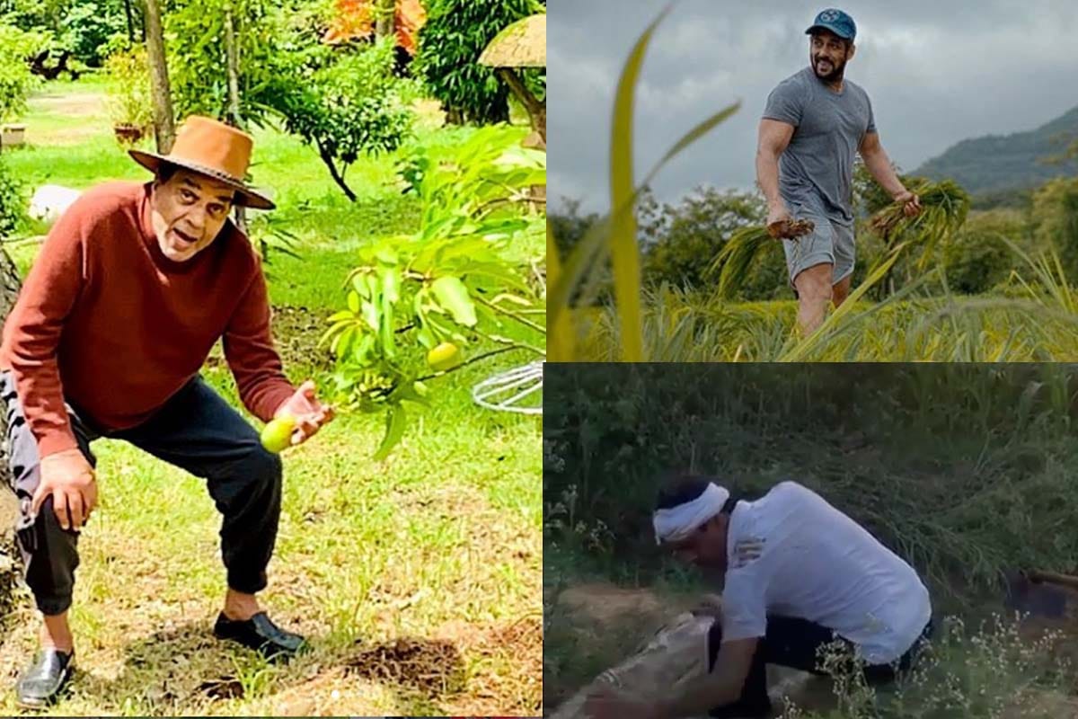 Bollywood stars including Salman khan and Nawazuddin Siddiqui spend time doing Farming in Lockdown during Covid 19 Pandemic