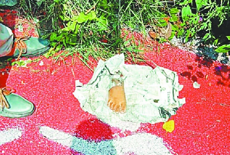 Chandigarh Police Failed to Sort Out Case of Chopped Feet Find in Sector 17 Chandigarh