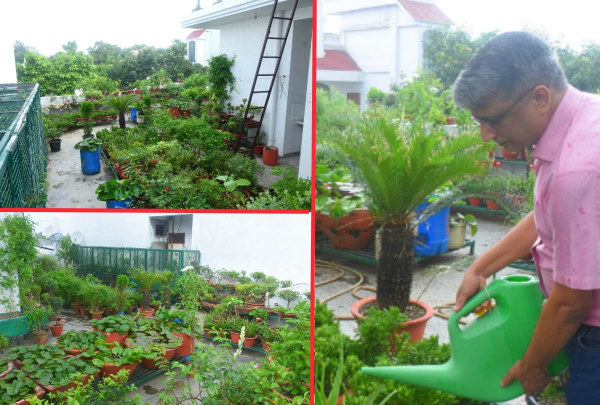 special story of businessman Sanjeev Agarwal childhood planting saplings hobbies fulfilled by wife and daughter