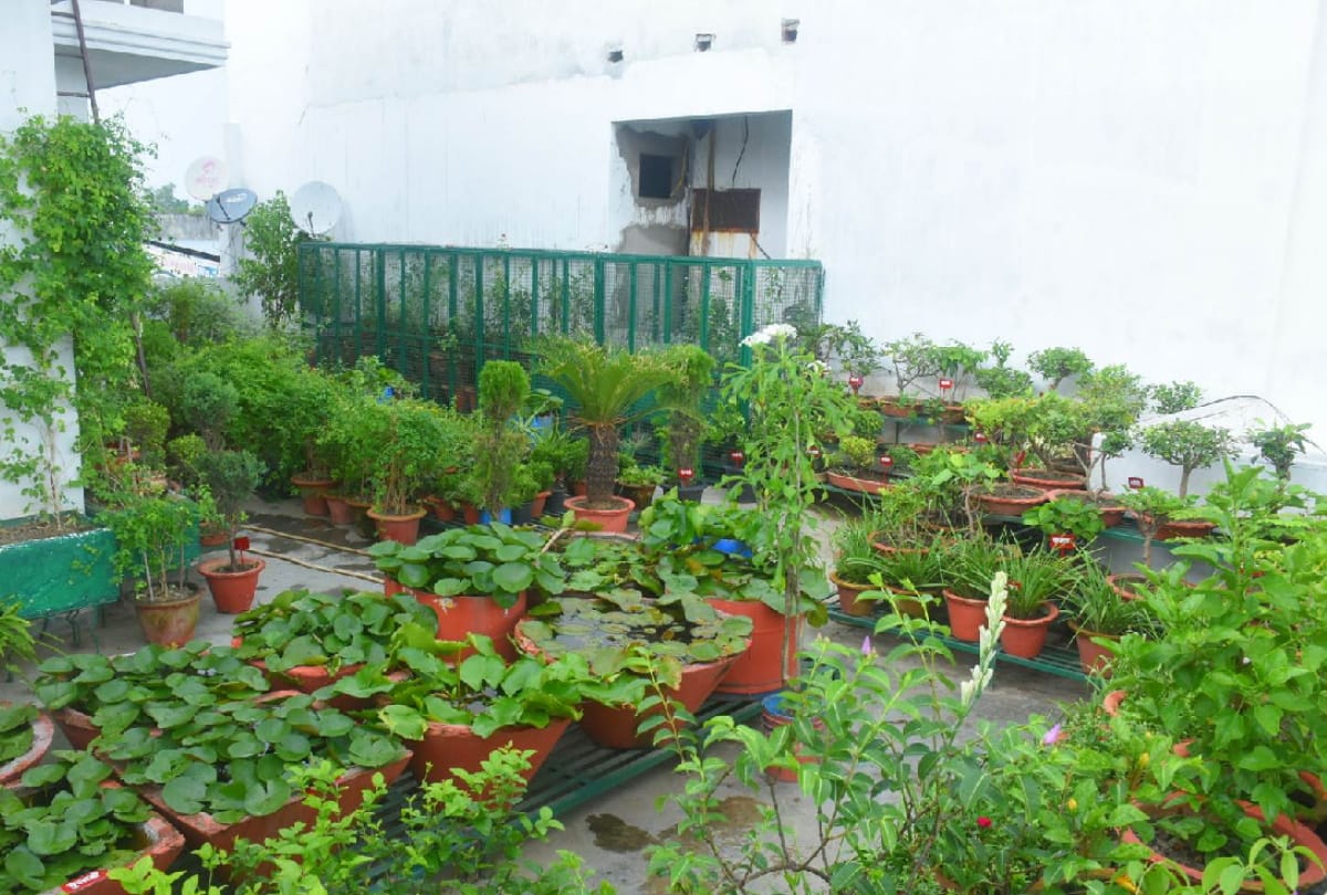 special story of businessman Sanjeev Agarwal childhood planting saplings hobbies fulfilled by wife and daughter
