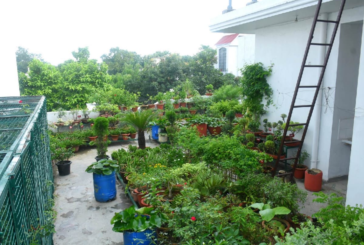 special story of businessman Sanjeev Agarwal childhood planting saplings hobbies fulfilled by wife and daughter