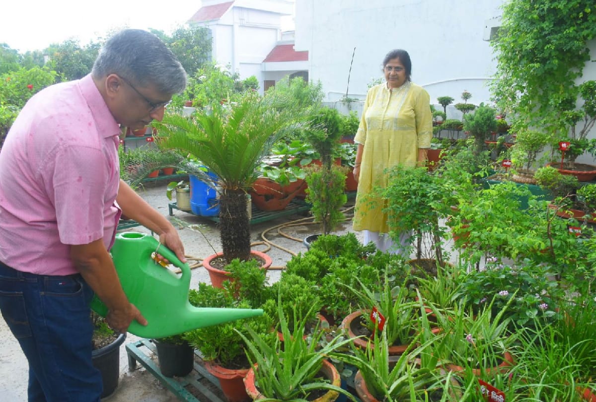 special story of businessman Sanjeev Agarwal childhood planting saplings hobbies fulfilled by wife and daughter