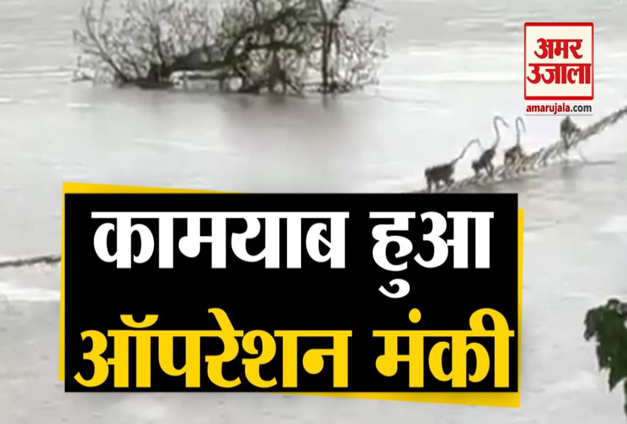 वायरल वीडियो