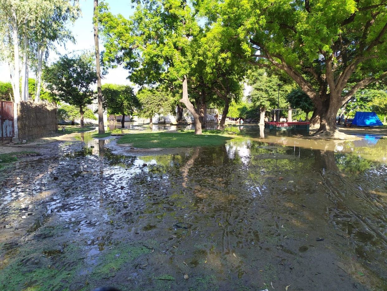 Flood