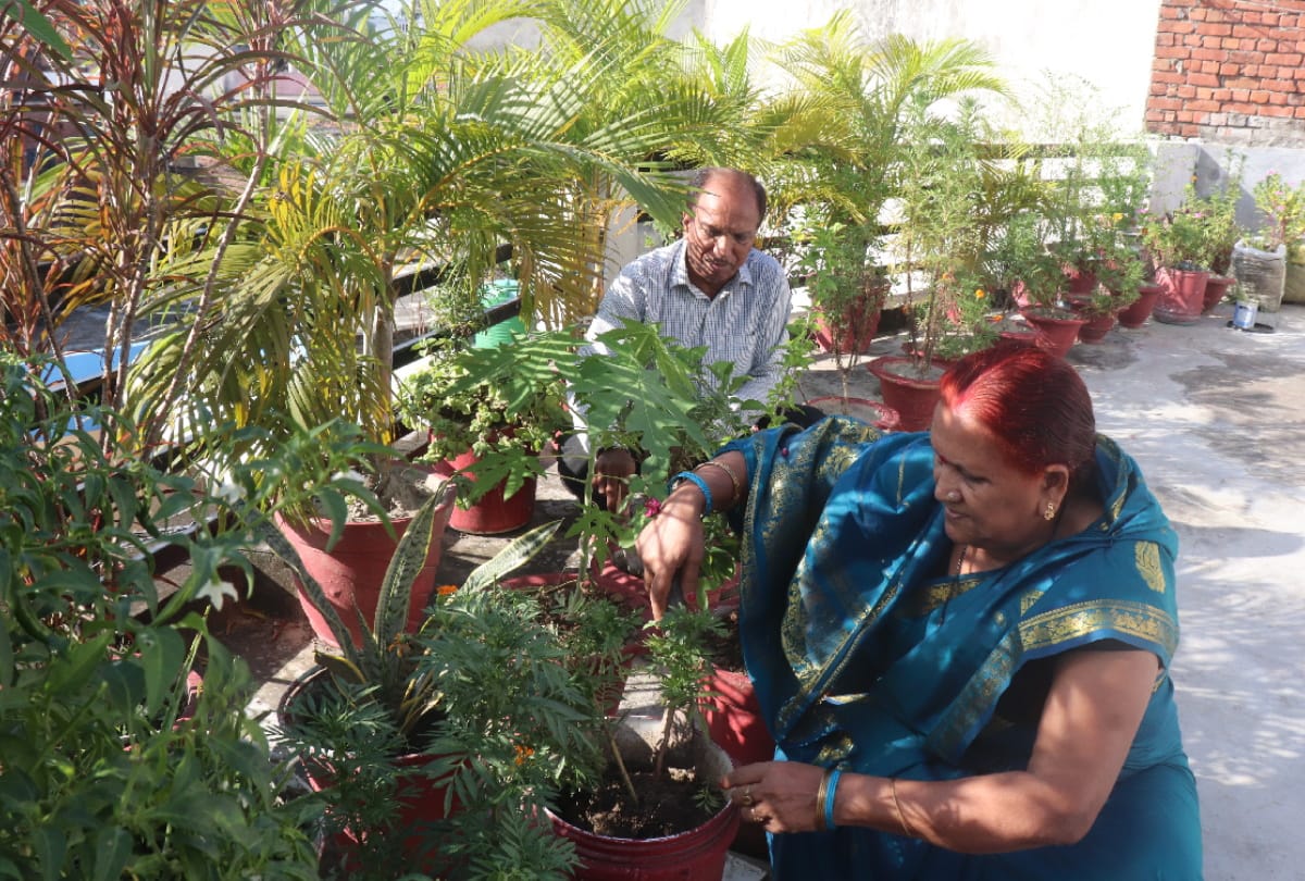 special story of Doctor couple gardening on home at Gorakhpur