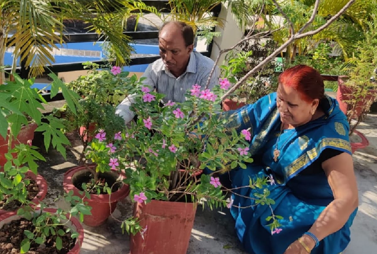 special story of Doctor couple gardening on home at Gorakhpur