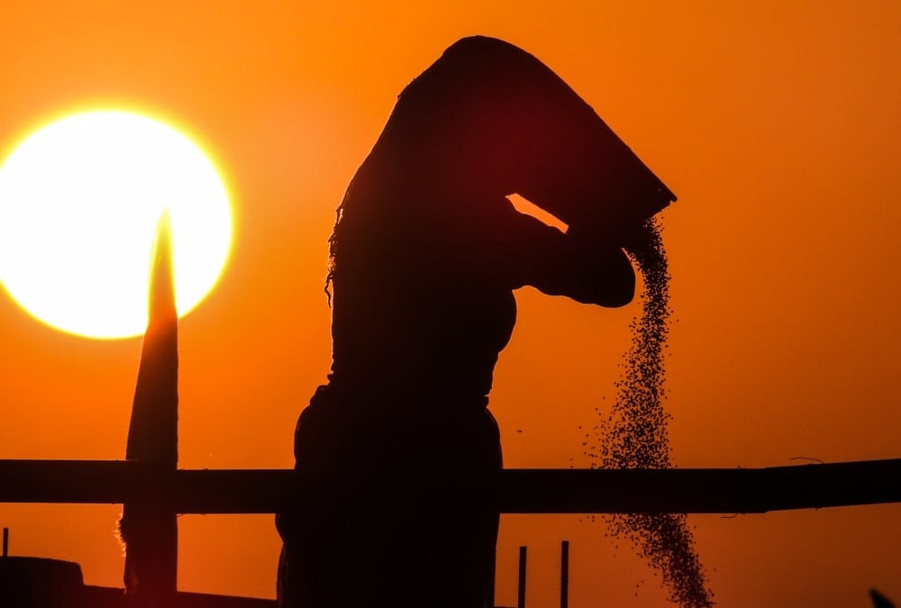 World Photography Day 2020: Uttarakhand Photographers Capture Beautiful Photos