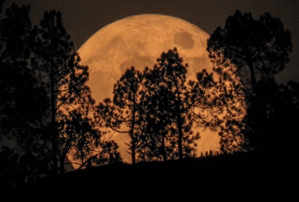 World Photography Day 2020: Uttarakhand Photographers Capture Beautiful Photos