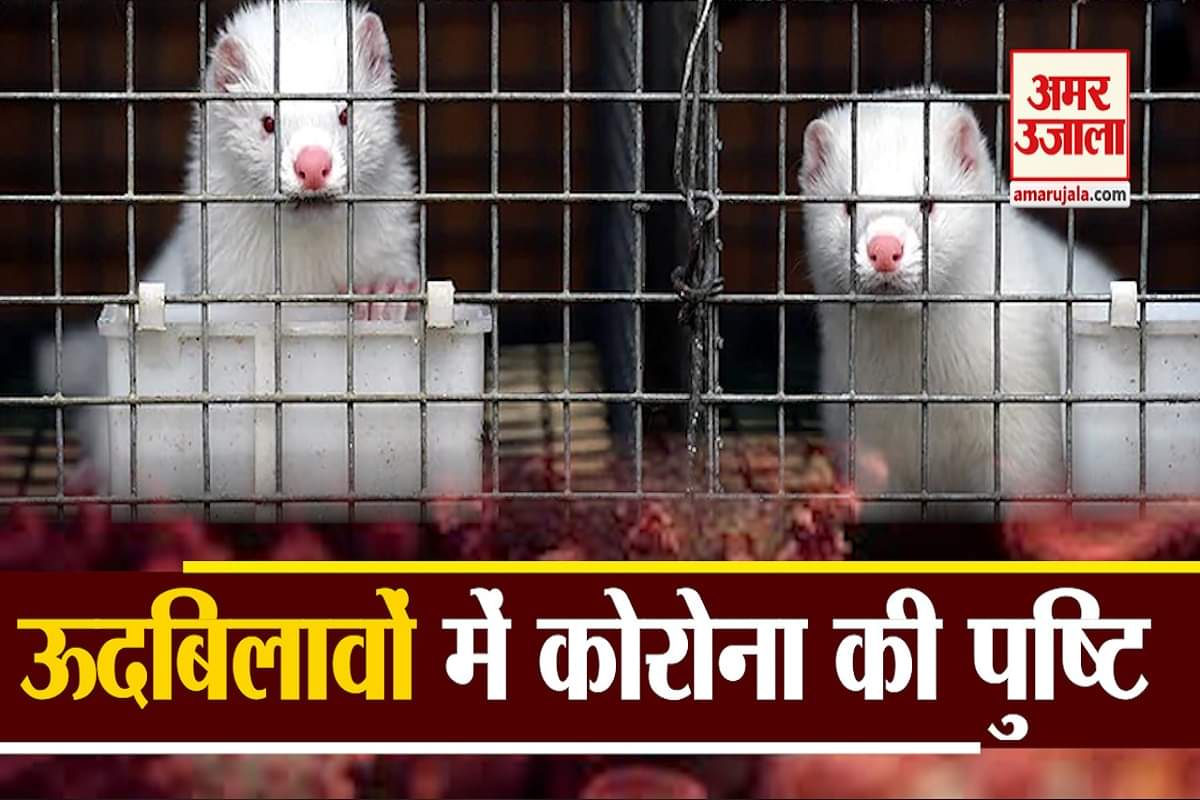 कोरोना वायरस