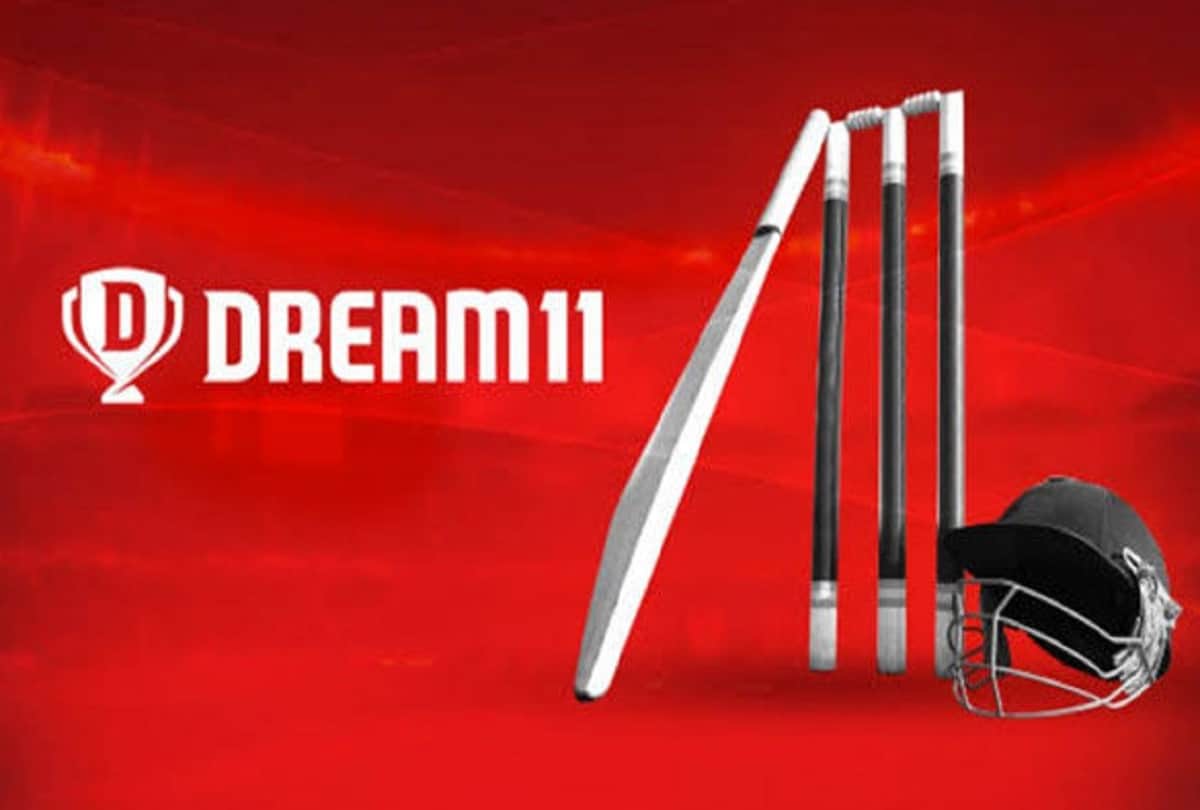 IPL 2020 sponsor company Dream 11 has investment from Chinese company? BCCI gave this answer