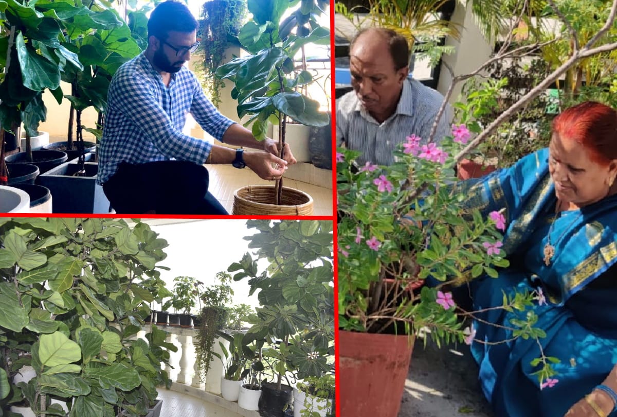 special story of Doctor couple gardening on home at Gorakhpur