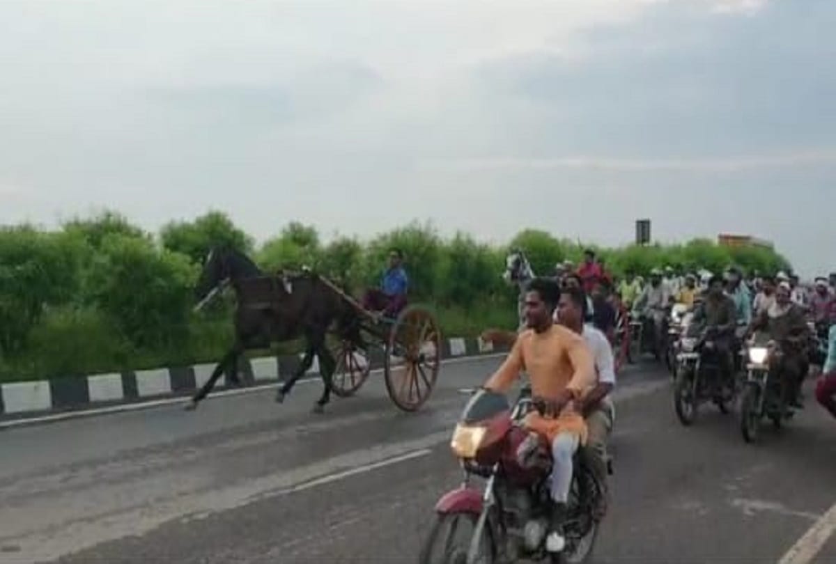 Greater noida highway 91 brokers organise race of horse and bike 9 arrested