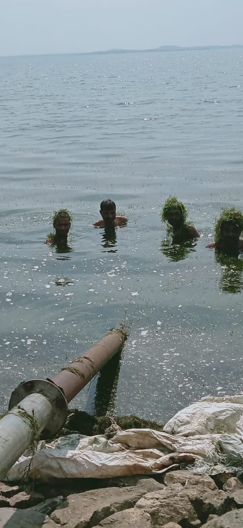 cleaning campaign, matatila dam