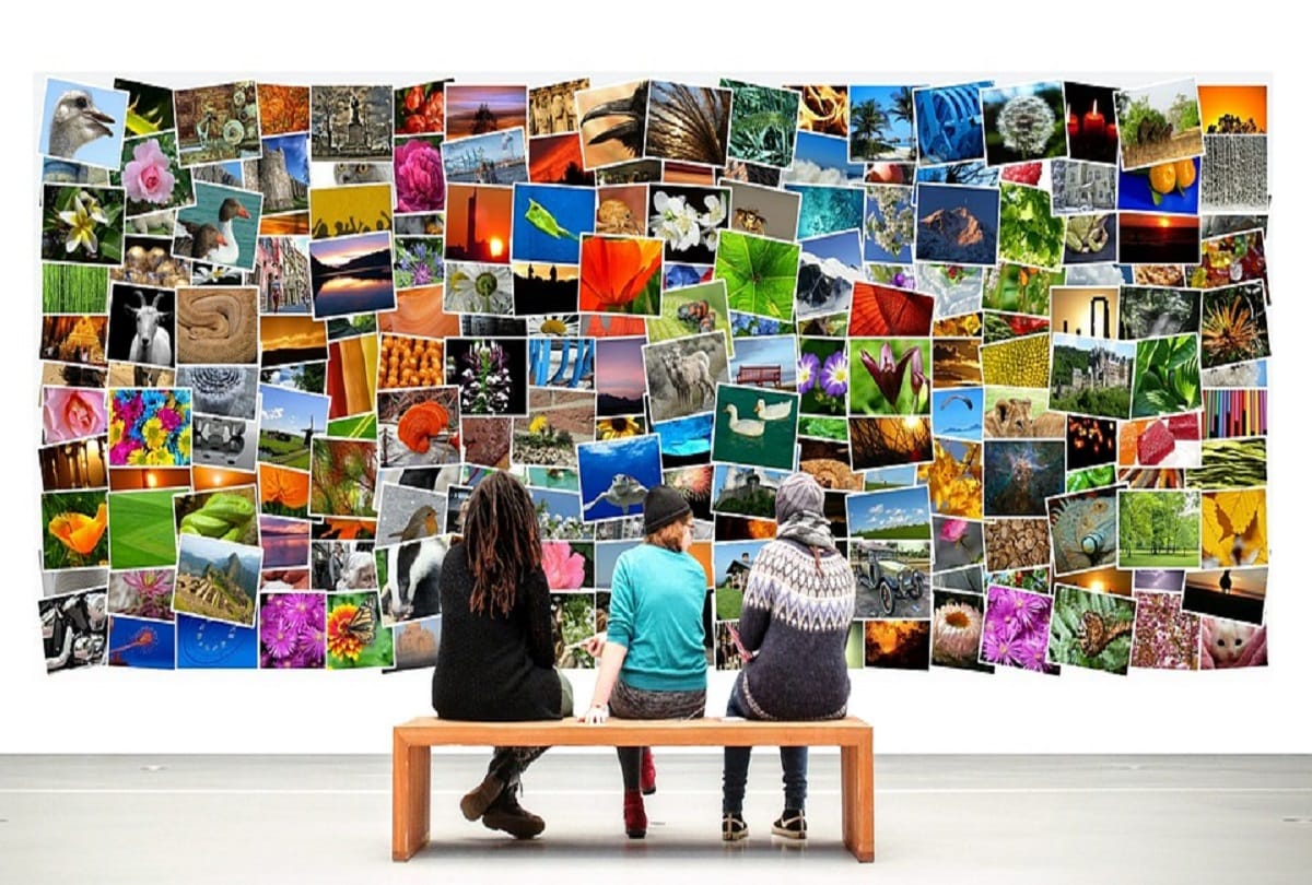 world photography day 2020 date Photography Day History Significance and Importance