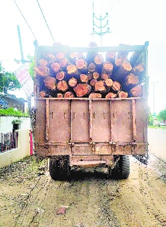 200 quintal wood of Khair caught in Richha