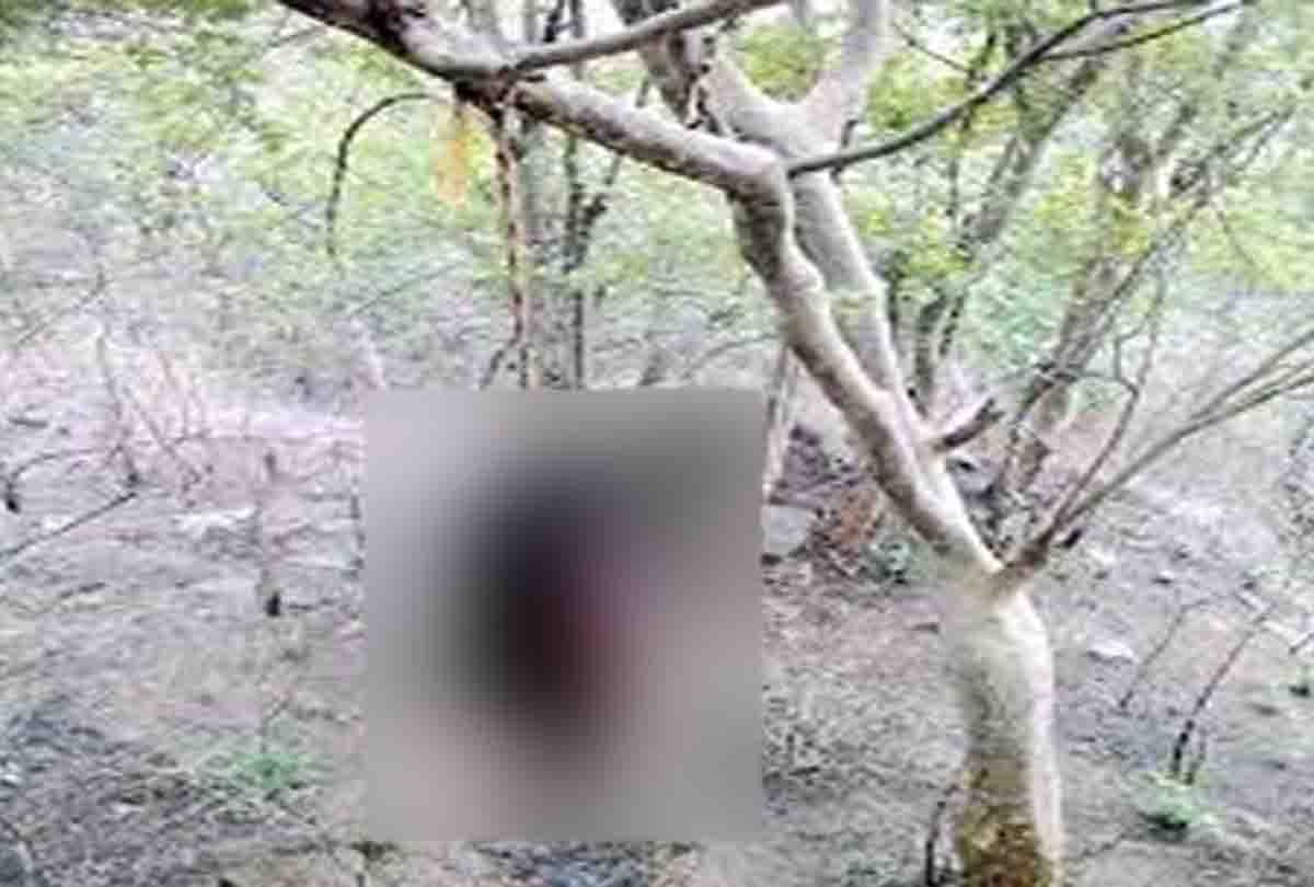 Body of Gujarat woman found hanging from tree