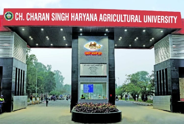 Atal ranking 2020: Chaudhary Charan Singh Haryana Agricultural University ranked first in agricultural universities in Atal ranking