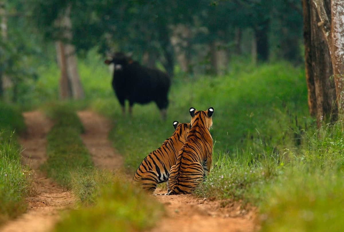World Photography Day 2020 stories from Amoghavarsha JS and Sudhir Shivaram