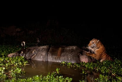 World photography day 2020 here best pictures and memories of famous photographer Sandesh Kadur