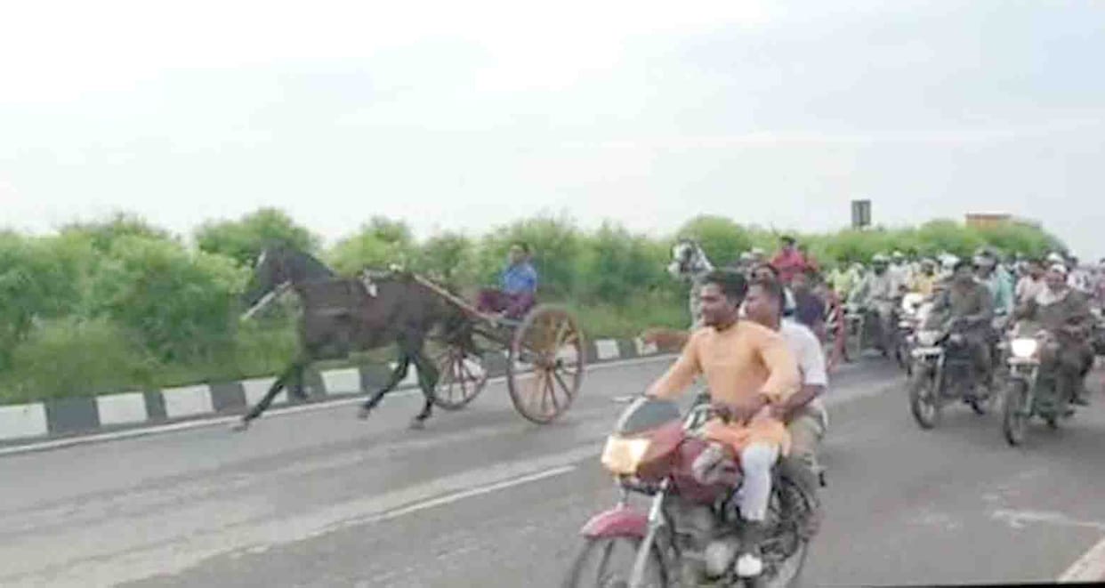 Horse racing and stunt on NH 91