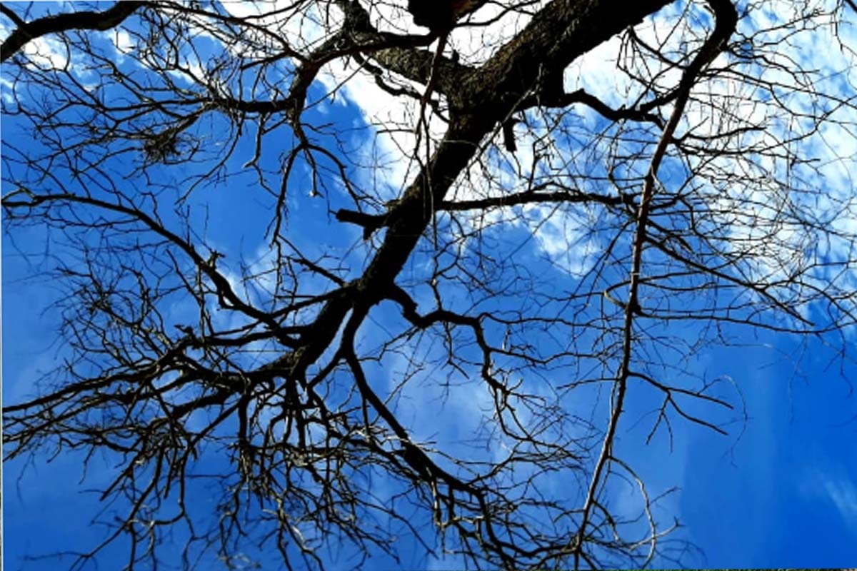 Wether News: monsoon goes with less rainfall, lowest rainfall in forty years