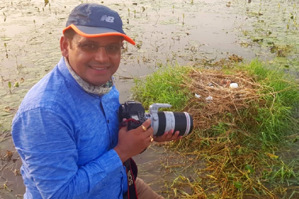 world photography Day: sanjay kumar from saharanpur travel more then two hundred kilometers to to take rare pictures of baby crane