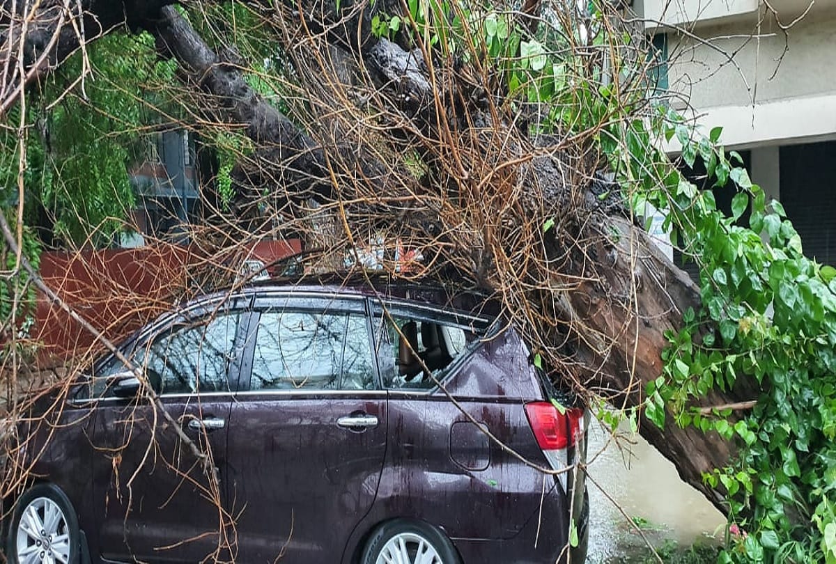 Delhi NCR Rain News: Noida, Ghaziabad, Palwal, Gurugram, Faridabad receives heavy rainfall and water logging on roads see pictures