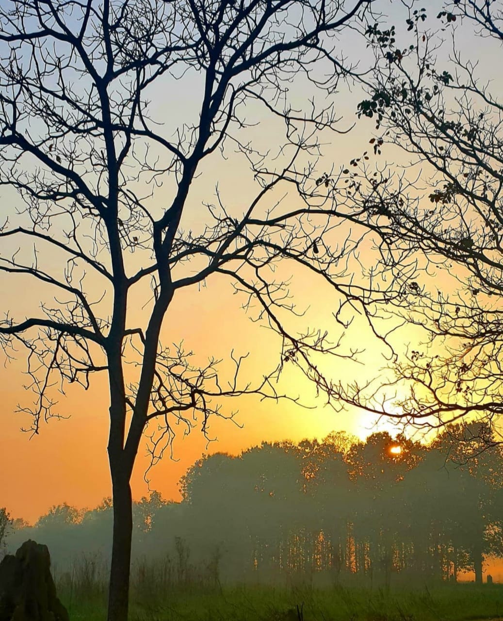 World Photography Day 2020: Comptition on World Photography Day by Amar Ujala.