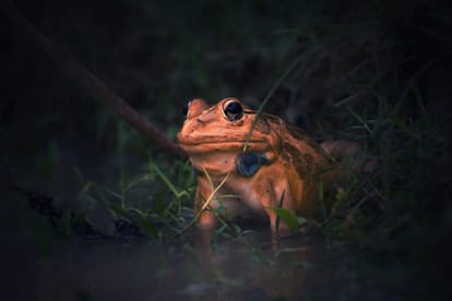 World Photography Day: 'Good business is captured, not with expensive cameras'