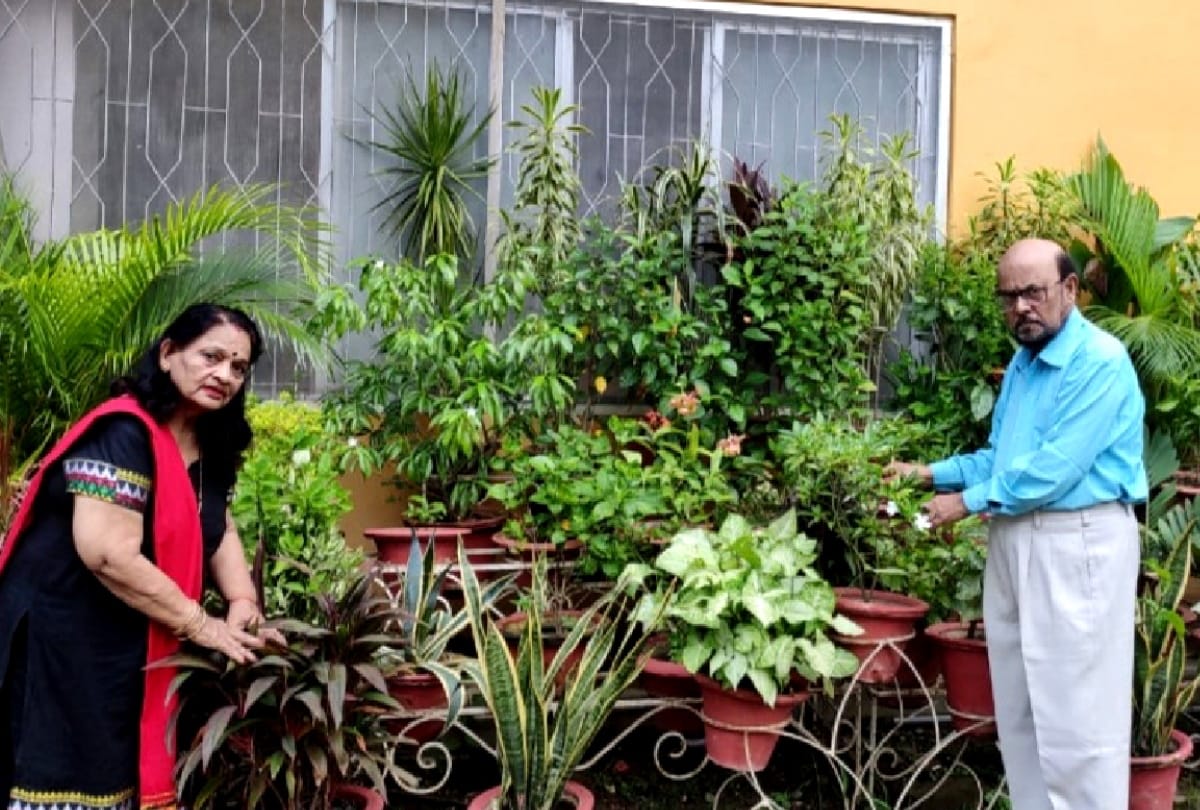 special story Dr. Vimal Kumar Modi made beautiful garden on six acres in Arogya Mandir at gorakhpur