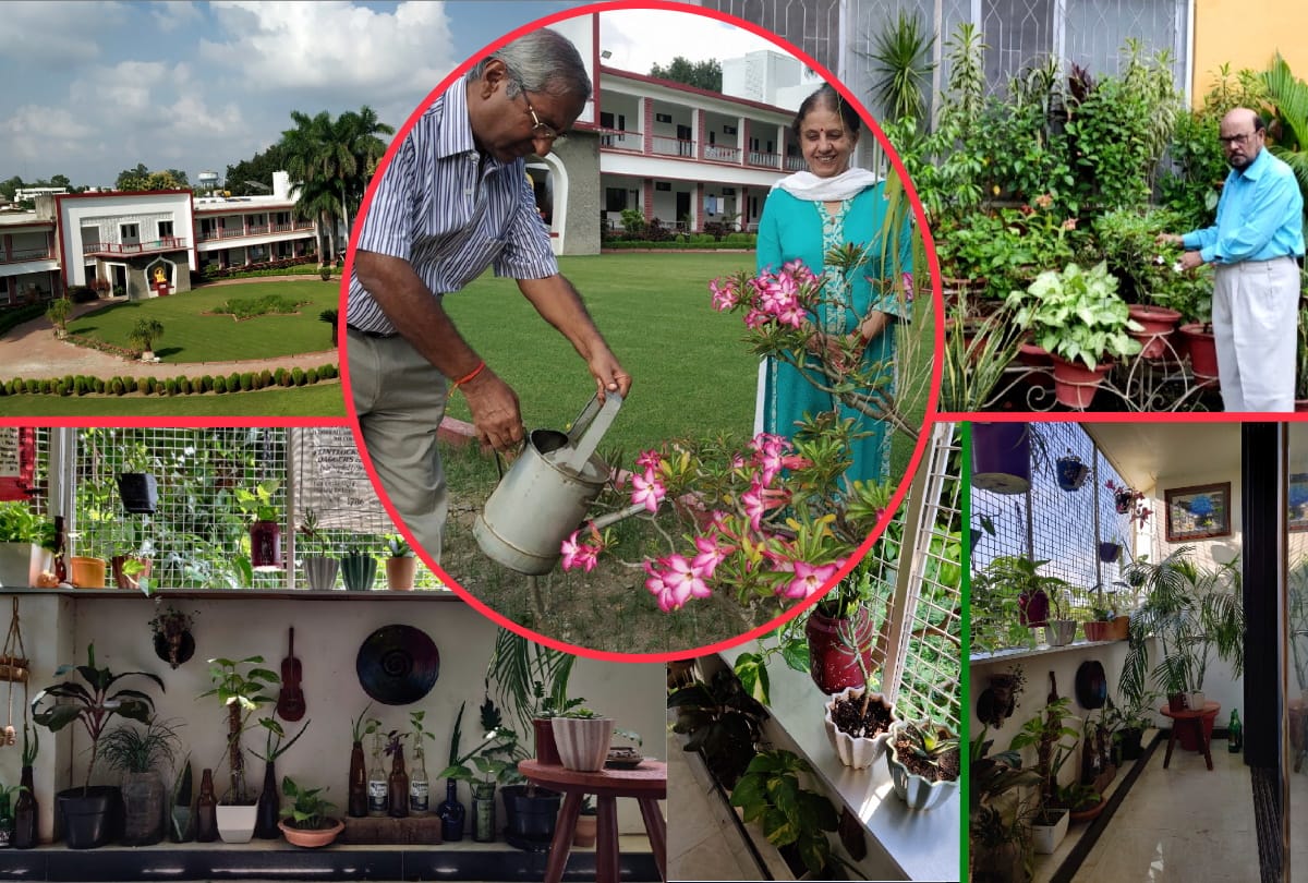 special story Dr. Vimal Kumar Modi made beautiful garden on six acres in Arogya Mandir at gorakhpur