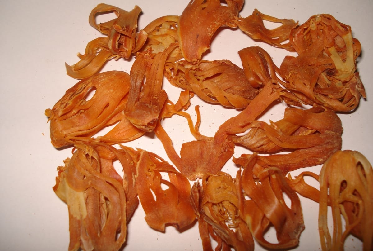 health benefits of indian spices and herbs best spices for stomach indian spices for immunity digestion