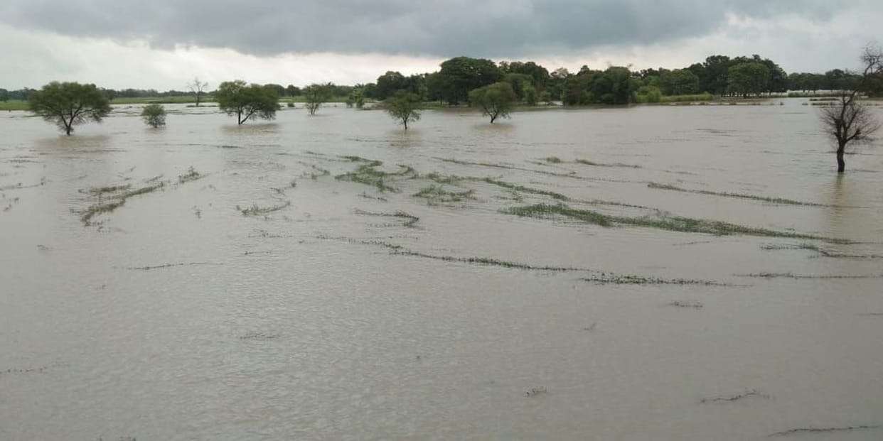 Saryu