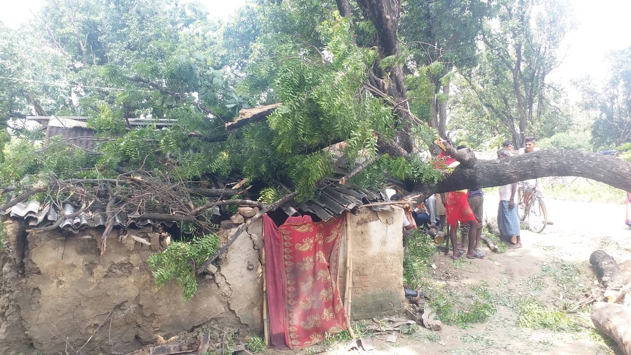 Houses and trees fell in the storm
