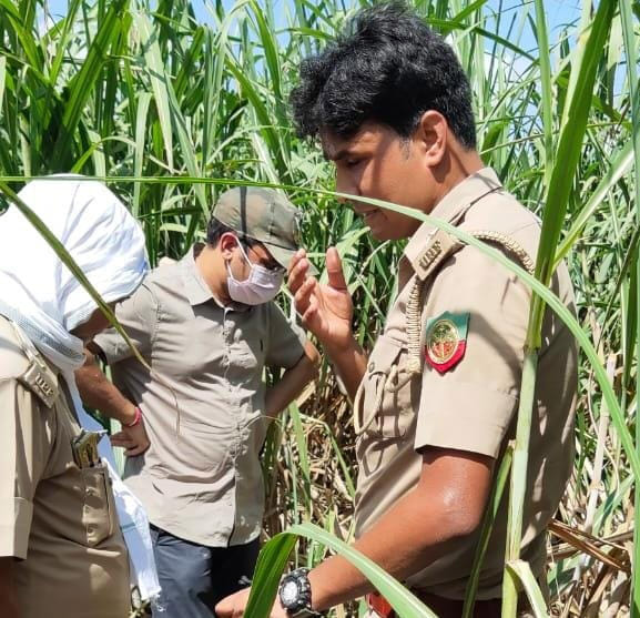 International wildlife smugglers are targeted, farm tigers