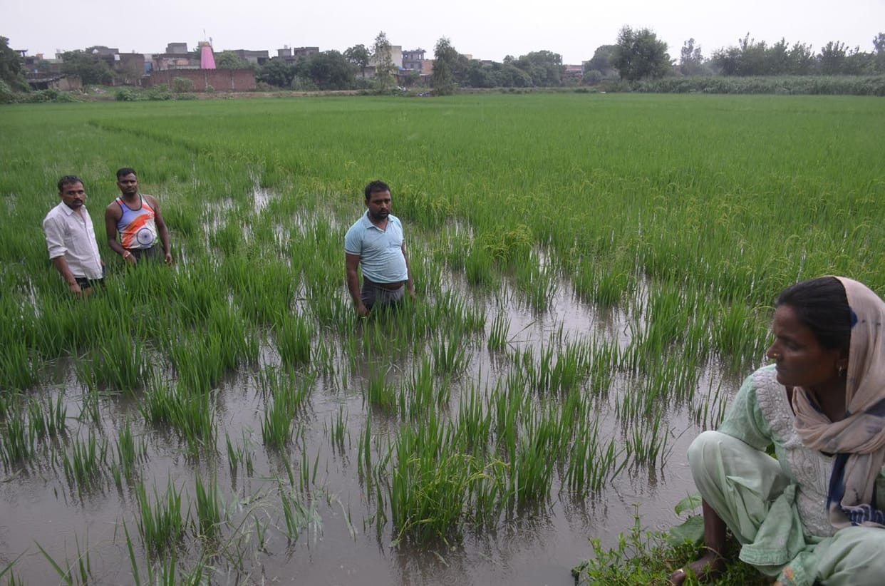 Pond water filled in farmer's farm in Morena