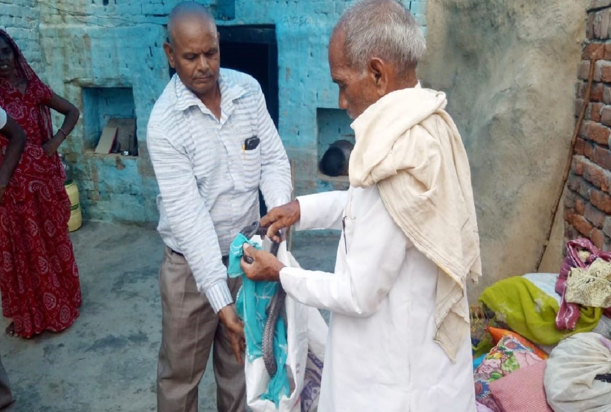Four feet tall cobra snake wrapped in old man hand during rescue