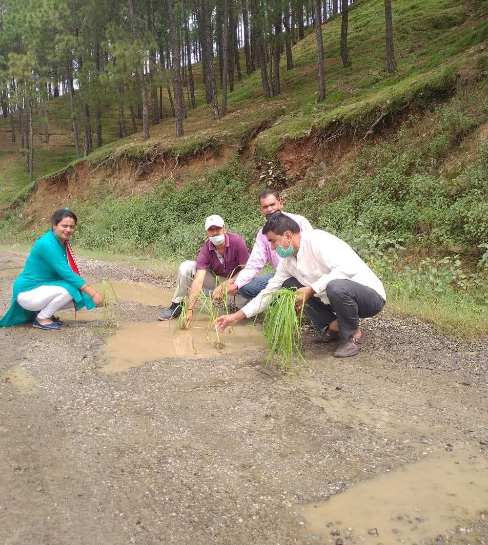 Congressmen protested by planting in pits on the road