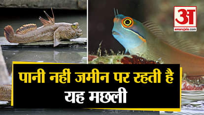 fish living on earth