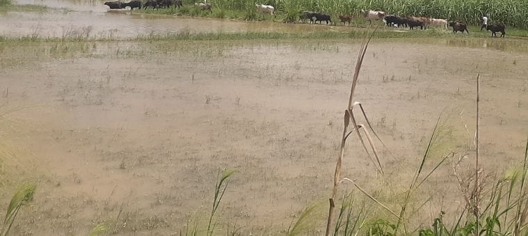 Villages of Khadar region started drowning in the water of the Ganges