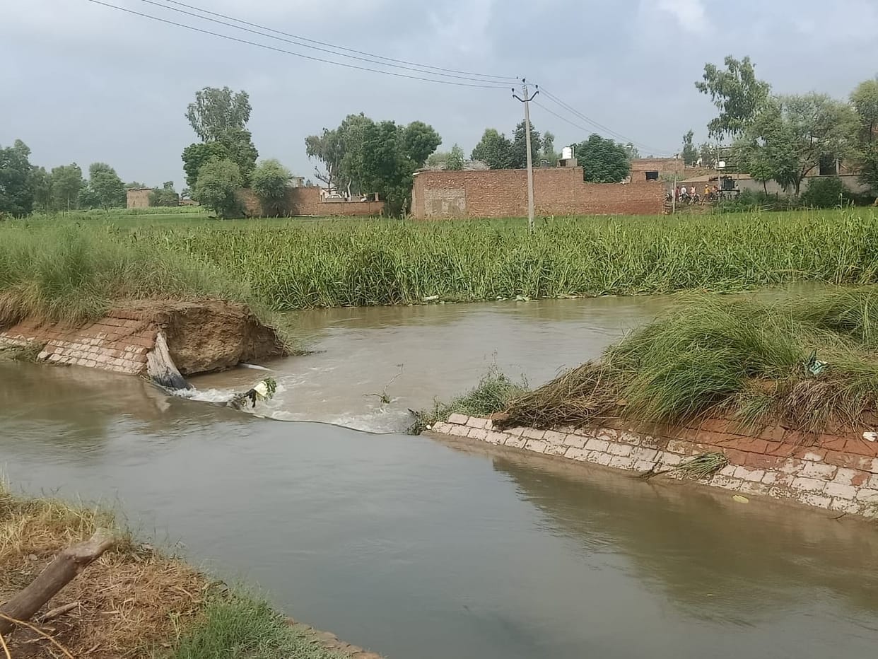 minor broken crops submerged in ferozepur