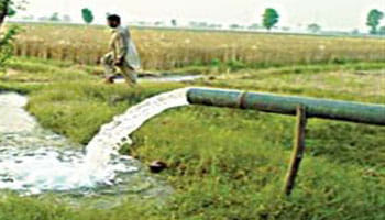 mahroni 35th place in clean survey