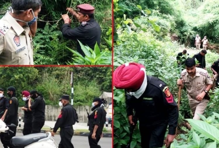 Alert in 5 districts of Punjab adjoining Himachal after loot in Pathankot
