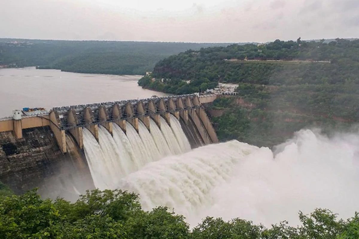 Increasing number of dams is a threat in future